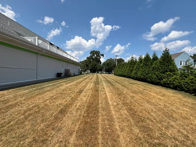 Commercial Lawn Mowing