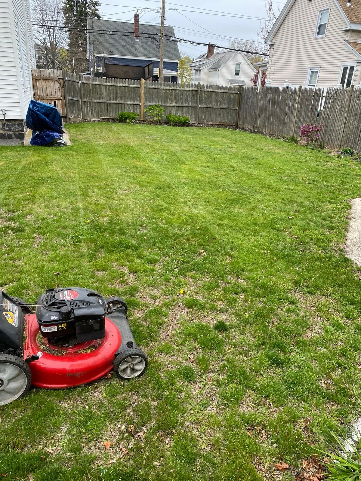 GH Tree Services and Landscaping