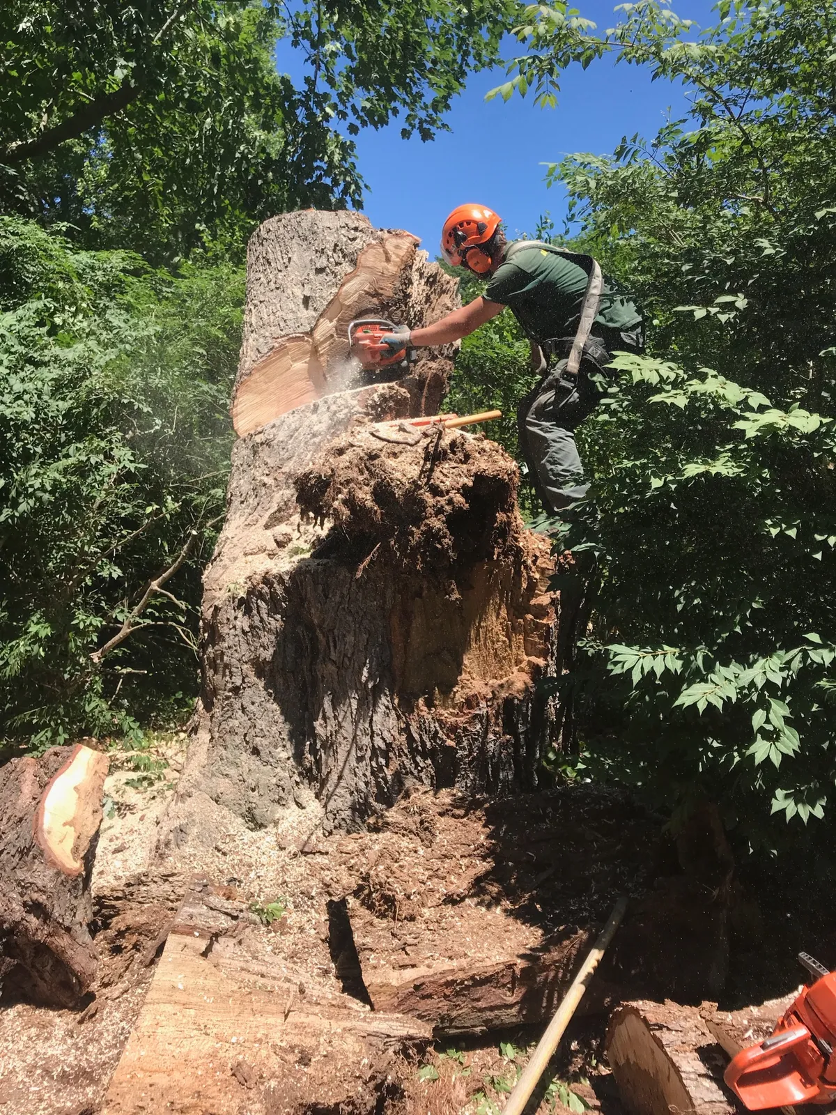 work photo from Google listing