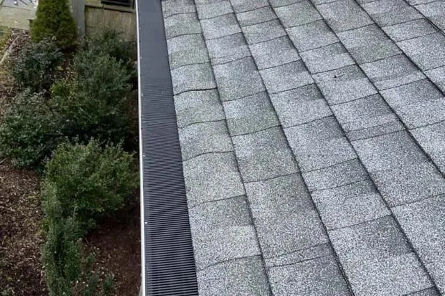 Gutter Repairs