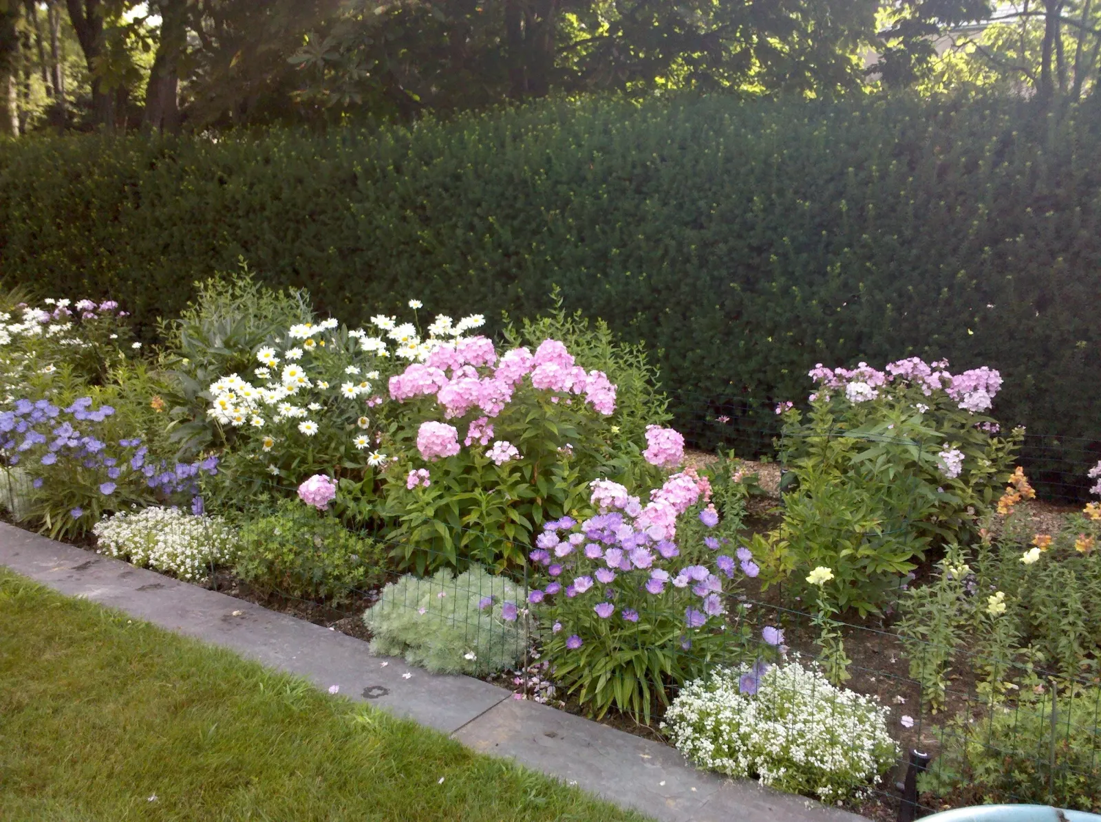 Perennial Garden Design