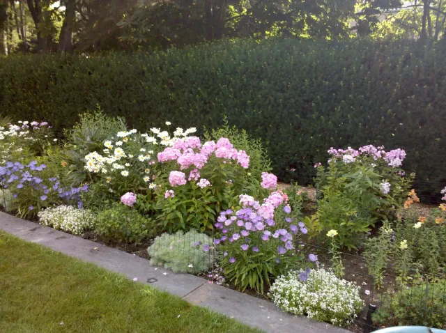 Perennial Garden Design