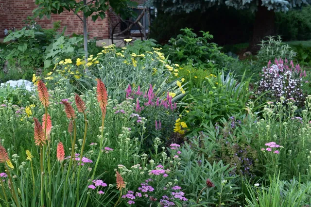 garden.jpg