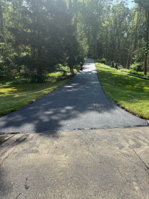 Newly paved asphalt driveway leading into a wooded area, bordered by grass and trees.