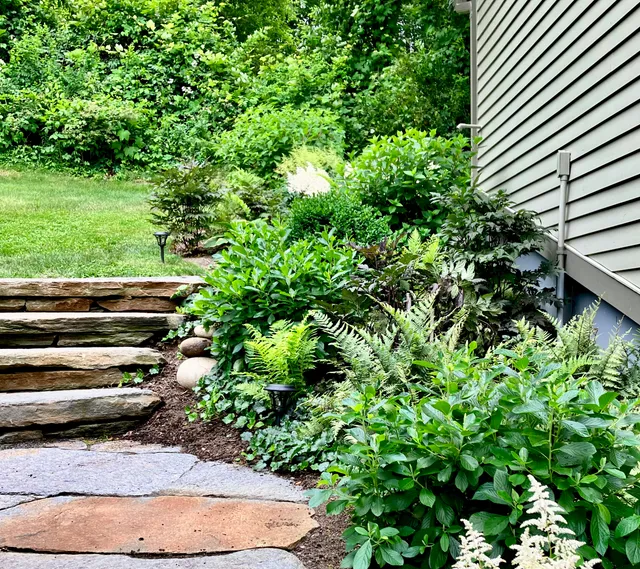 ASHE GARDEN DESIGN work photo