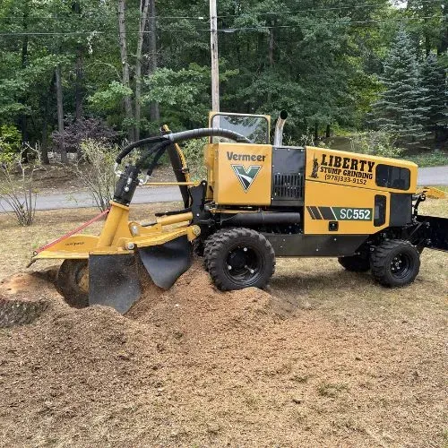 work photo from libertystumpgrinding.com
