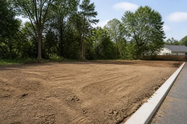 Lot Clearing