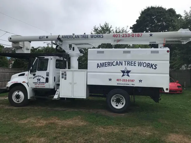 American Tree Works work photo