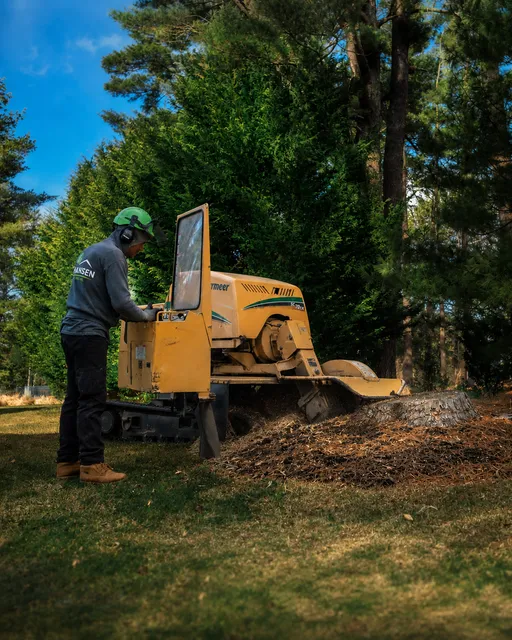 Stump Grinding