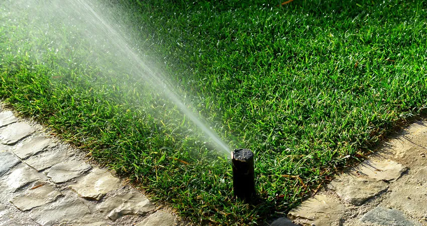 Irrigation & Lighting