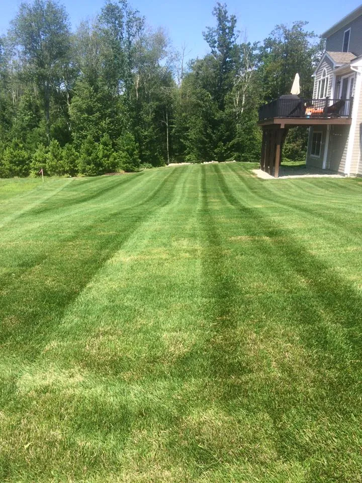 work photo from bayviewlandscapingma.com