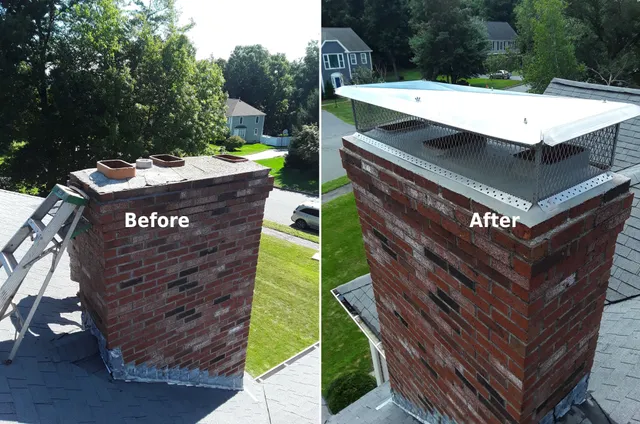 Kiwi Chimney work photo