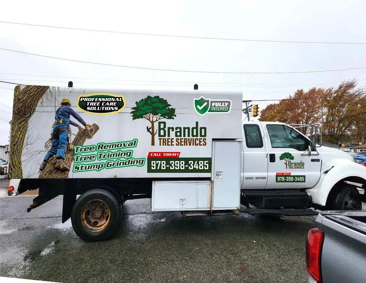 Brando Tree Services researched project photo