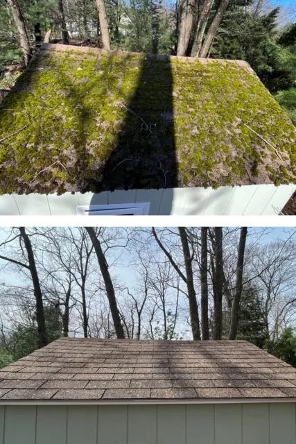 Moss Removal from Roof in Plymouth, MA
