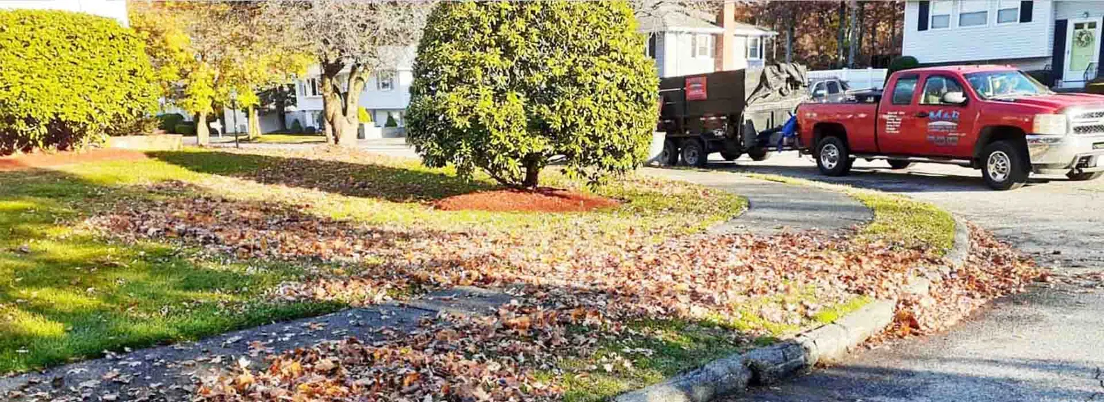 yard cleanup