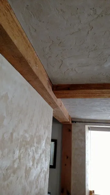 Tuscan Colored Plaster Ceiling & Venetian Plaster Walls