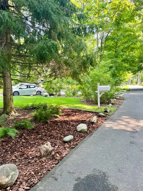 Driveway landscape with evergreen tree, ferns and rock-edged mulch bed