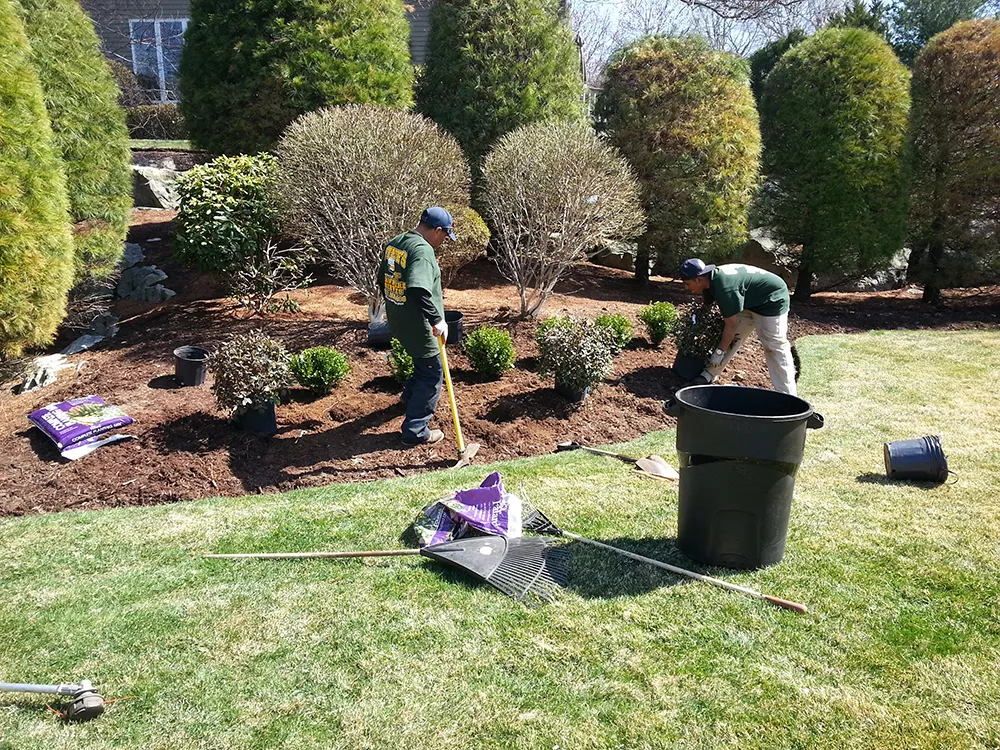 Steve's Services Landscaping & Snow Removal