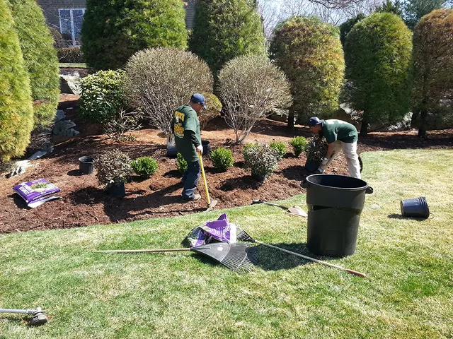 Steve's Services Landscaping & Snow Removal