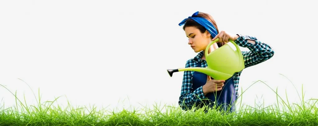 work photo from rvmlandscaping.com