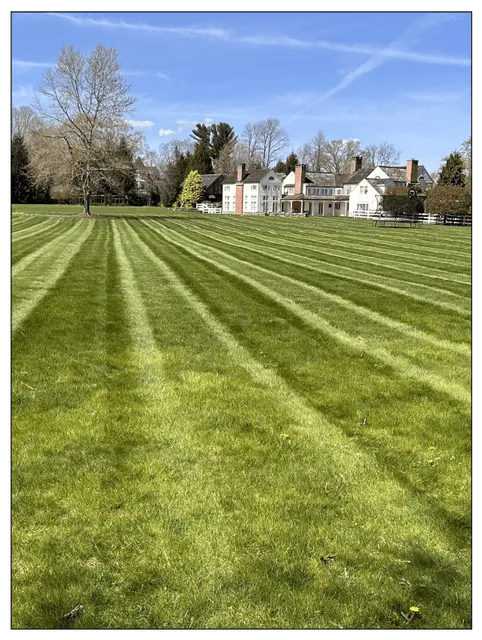 Lawn-Renovation