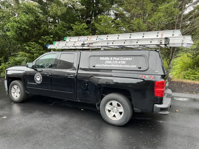 Chatham Wildlife & Pest Control Services work photo
