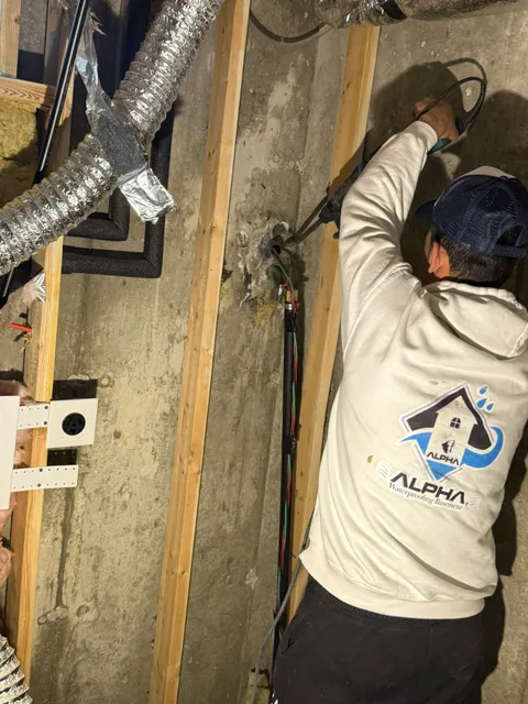 work photo from alpha-wb.com