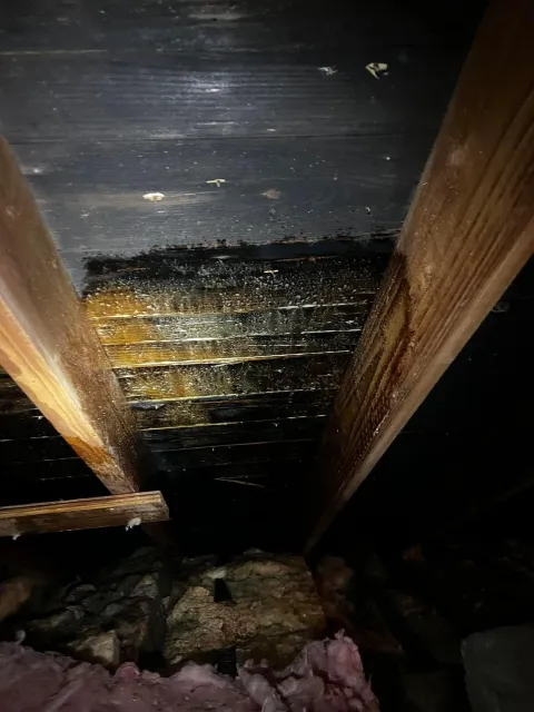 Ultra Clean is a Connecticut-based company that specializes in air duct cleaning and air quality. We provide a wide range of services, including mold removal, sanitization, and UV lighting. We also offer a variety of cleaning options, including dry and wet cleaning, and a variety of duct cleaning options, including manual and automated cleaning.