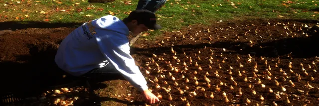 We provide landscaping
services to your home & business