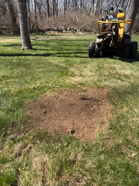 Tri-Son Stump Grinding work photo