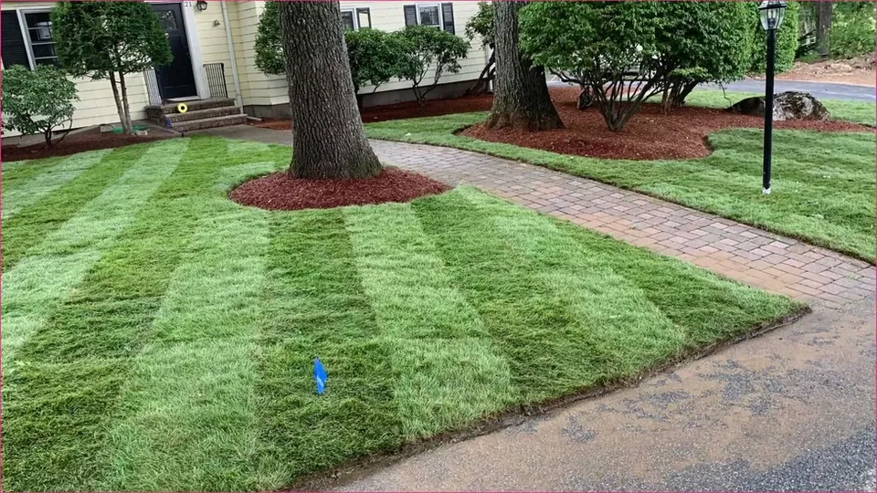 work photo from monzonlandscaping.com