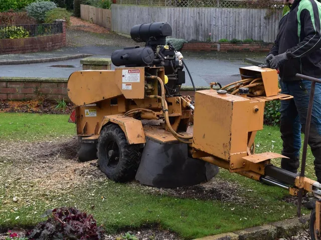 The Newtown Tree Service work photo