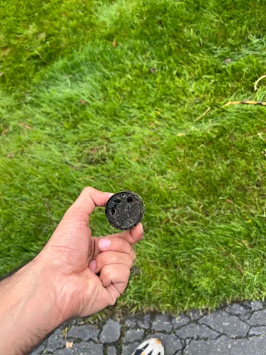 Review photo by Kianush Aryan
