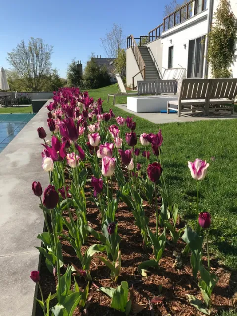 work photo from terragreenlandscaping.com
