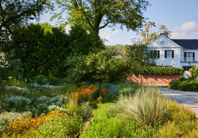 Pollinator Habitat
