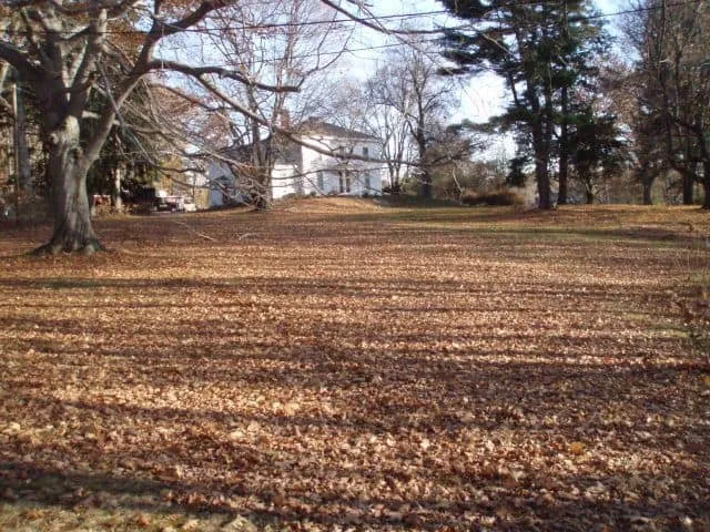 work photo from randalllandscaping.com