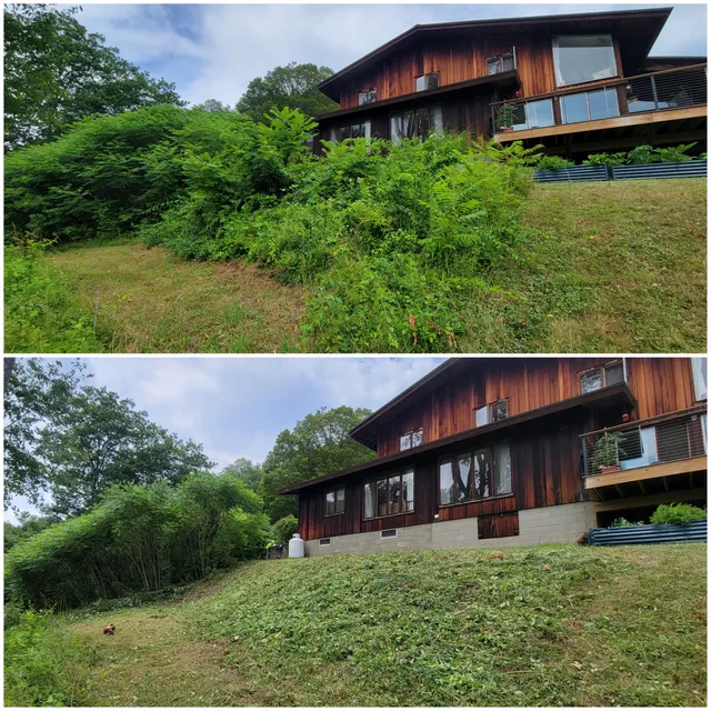 Adventure Time Landscape work photo