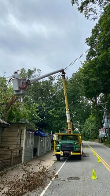 work photo from rttreeremoval.com