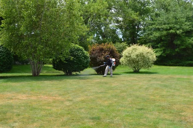 Mosquito Assassins work photo