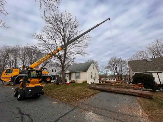 Crane Service