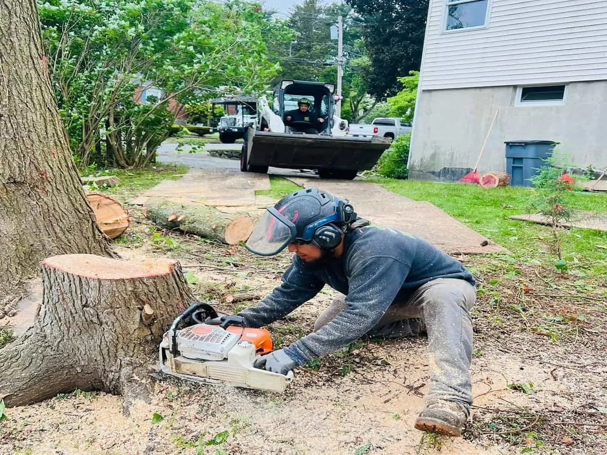 Stump Grinding