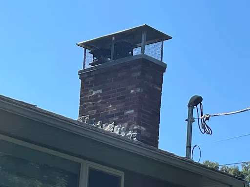 Sam & Ivan The Chimney Guys work photo