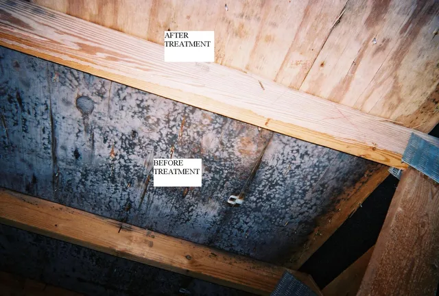 Attic Mold and More work photo