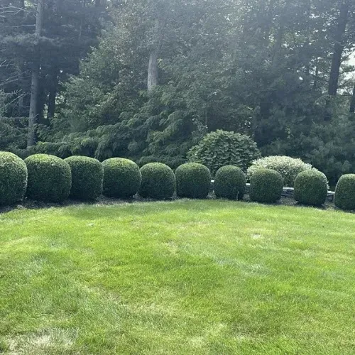 Garden of Eden Landscape