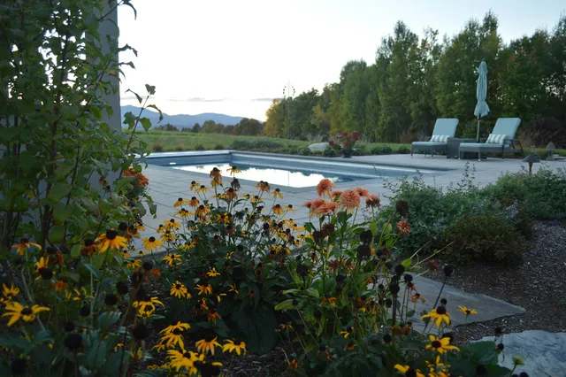 Mountain View Pool landscaping