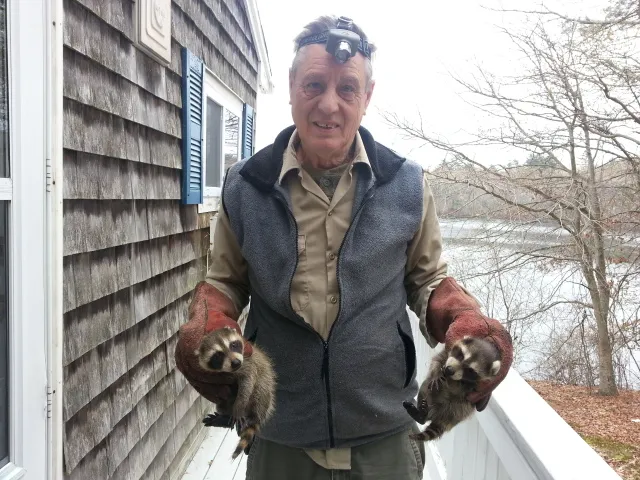 All Calls Pest Control work photo
