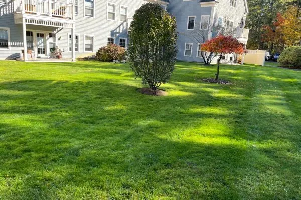 Soldevilla Lawn & Landscape