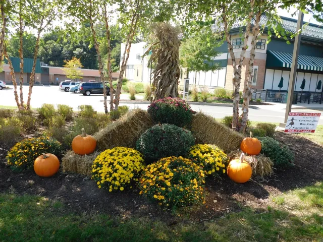 work photo from birchhilllandscape.com