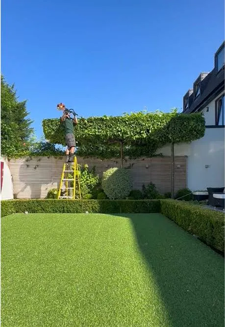 work photo from bluefox-landscaping.webnode.page