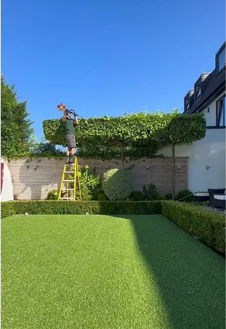 work photo from bluefox-landscaping.webnode.page